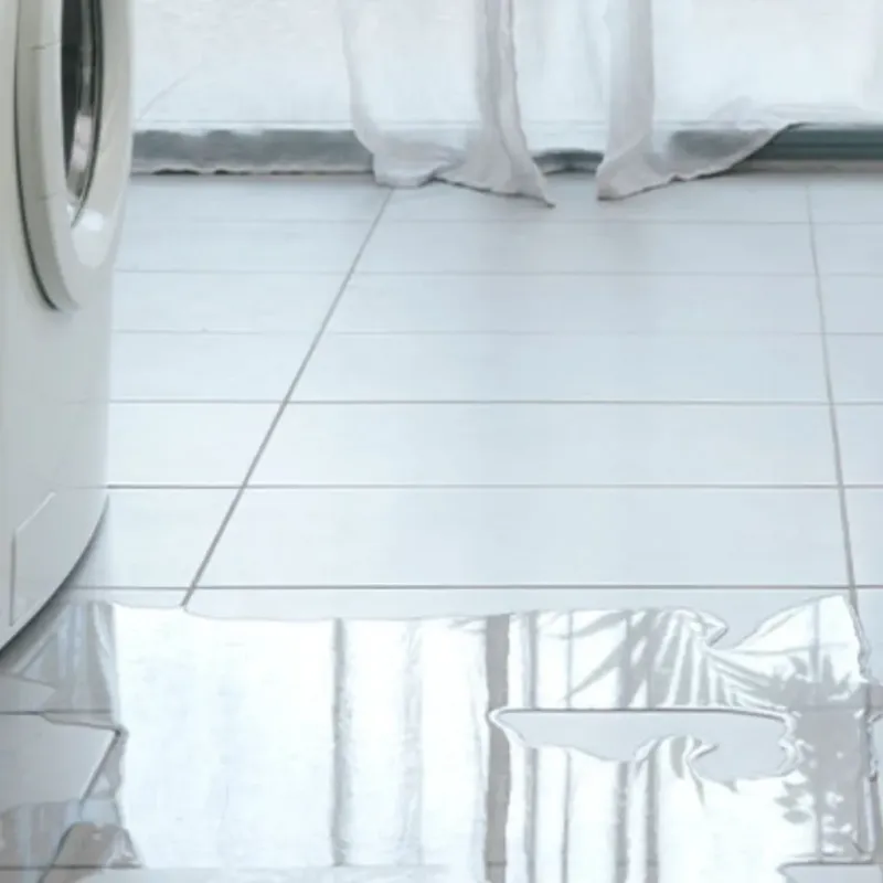 Appliance Leak Cleanup in Williamson, NY