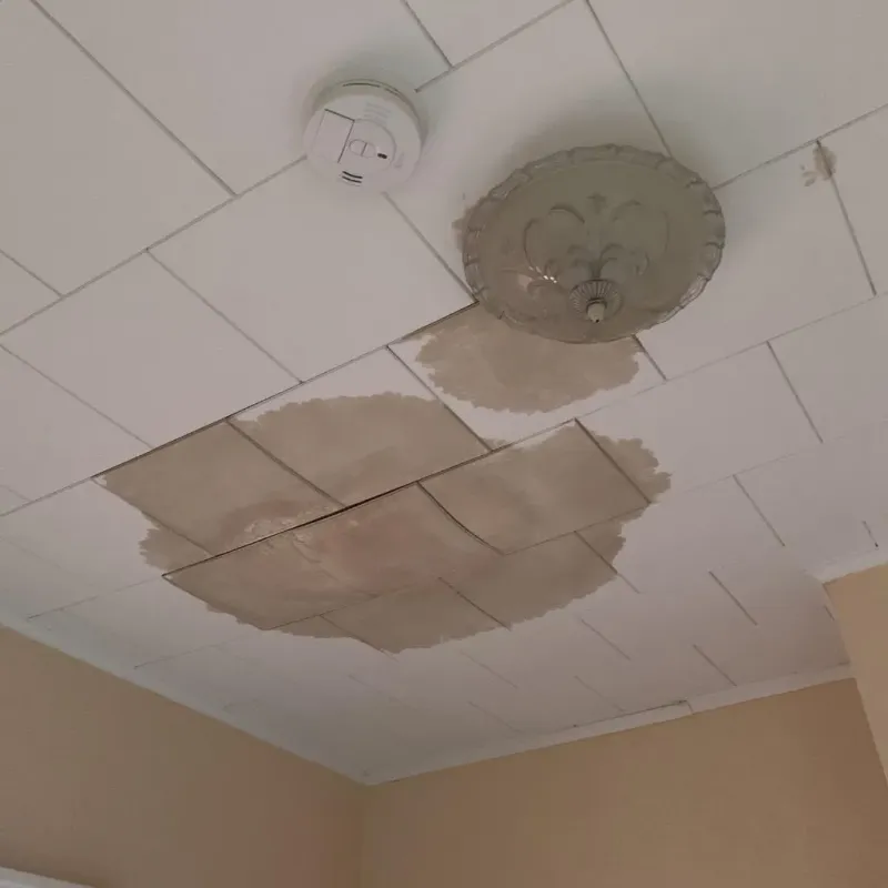 Ceiling Water Damage Repair in Williamson, NY